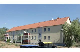 Wohnung mieten in Hermann-Duncker-Straße, 06179 Langenbogen, Schöne helle 2 -Raum-Wohnung im Grünen