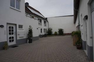 Lofts mieten in 64319 Pfungstadt, 2-Zimmer Loft-Wohnung