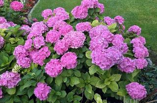 Wohnung mieten in 82335 Berg, Berg - 5-Zi. Maisonette Wohnung (OG+DG) am Schlosspark! Kl. Seeblick/Südbalkon/EBK/Einzelgarage!