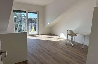 Wohnung mieten in 69124 Kirchheim, Neubau-Erstbezug: Helle, möblierte 2-Zimmer-DG-Wohnung mit Aussicht