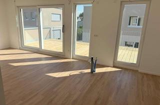 Penthouse mieten in 63512 Hainburg, Neubau Penthousewohnung 3 Zimmer