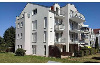 Wohnung mieten in Am Sachsenpark 16, 09669 Frankenberg, 2-Zimmer-DG-Wohnung, sehr hell und mit separater Küche