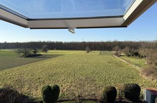 Wohnung mieten in 65795 Hattersheim, Großzügig geschnittene 2-Zimmer DG-Wohnung mit neuer EBK an Einzelperson zu vermieten