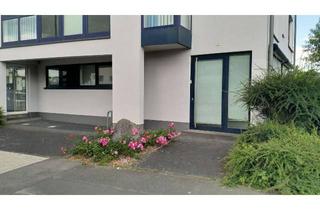 Wohnung mieten in Franzhäuschenstr. 15, 53797 Lohmar, Geräumige, gepflegte 1-Zimmer-Erdgeschosswohnung zur Miete in Lohmar