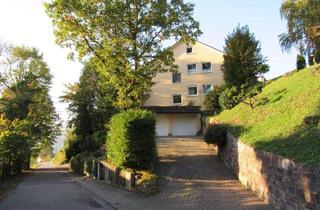 Wohnung mieten in Hirschsprung, 64757 Rothenberg, Idyllische 160m² Traumwohnung mit Balkon und Garten in Hanglage zum 01.12.2025 in Oberzent