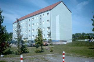 Wohnung mieten in Mühlenbergstraße 23, 18461 Richtenberg, 2 Raum Wohnung in Richtenberg