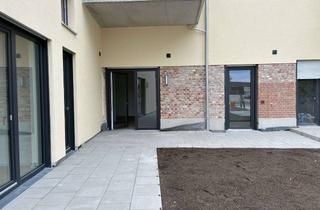 Wohnung mieten in Zollnerstr. 167, 96052 Bamberg, Große 4-Zimmer Wohnung mit Terrasse und kleinem Garten