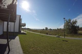 Wohnung mieten in 06774 Pouch, Wohnen am See - Neuwertige 4-Raum-EG-Wohnung mit geh. Innenausstattung mit Terrasse und EBK