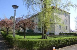 Wohnung mieten in 01589 Riesa, Tolle Singlewohnung in der Pausitzer Delle