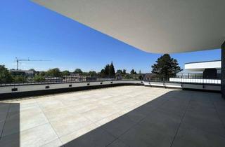 Penthouse mieten in Petersdamm, 48167 Wolbeck, Wohnen am Petersdamm - Exklusive 3,5-Zimmer Penthousewohnung