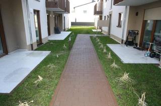 Wohnung mieten in Industriestraße, 63543 Neuberg, Erstbezug mit Terrasse: Stilvolle 3-Zimmer-Wohnung mit gehobener Innenausstattung in Neuberg