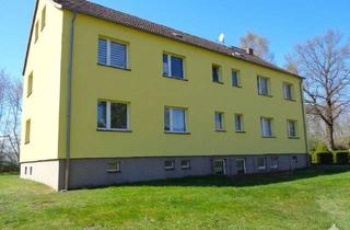 Wohnung mieten in Kirch Baggendorf 18, 18513 Gransebieth, Kurzexposé 4800/3/1
