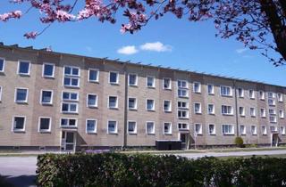 Wohnung mieten in Platz Des Friedens, 18461 Franzburg, 2 Raum Wohnung in Franzburg