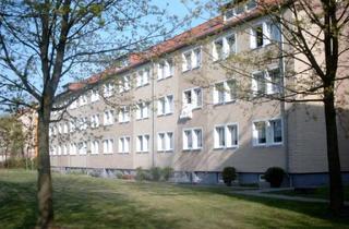 Wohnung mieten in Platz Des Friedens, 18461 Franzburg, 2 Raum Wohnung in Franzburg