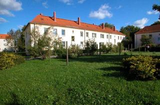 Wohnung mieten in Merseburger Straße, 06242 Braunsbedra, Schöne 2-Raumwohnung im Geiseltal