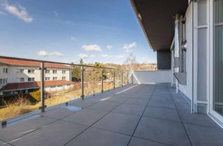 Wohnung mieten in 01445 Radebeul, moderne 5-Raum-Maisonettewohnung mit großer Dachterrasse & 2 Stellplätze
