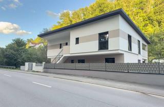 Wohnung mieten in 64625 Bensheim, Neubau 4-ZKB-Wohnung kurz vor Schönberg (Bensheim)