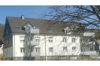 Wohnung mieten in 57250 Netphen, Lifestyle Dachgeschoss - Neues Wohnen in der Alten Mühle Dreis-Tiefenbach