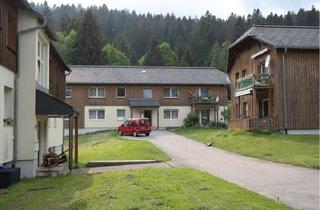 Wohnung mieten in 79682 Todtmoos, Helle geräumige Wohnungen im schön gelegenen Todtmoos/Schwarzwald