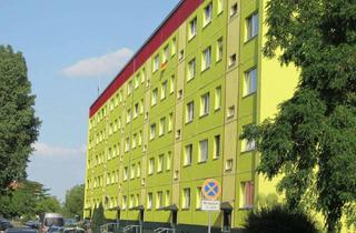 Wohnung mieten in Am Mühlenberg 30, 39326 Zielitz, Gemütliche Wohnung ideal für Singles oder Studenten