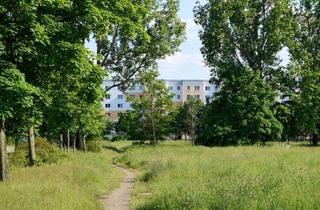 Wohnung mieten in Kauperstraße, 03044 Schmellwitz, Hoch hinaus und den Ausblick genießen!