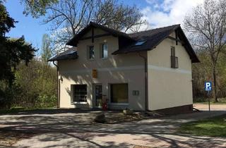Wohnung mieten in Zum Bahnhof 52, 15806 Zossen, ***Helle gemütliche 2-Raum-Wohnung im Dachgeschoss sucht Dich***