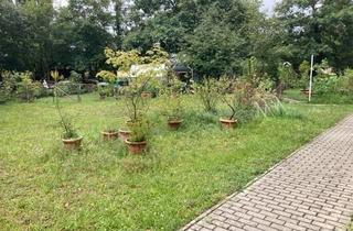 Wohnung mieten in Friedrich-Engels-Straße 37, 02991 Lauta, Ideal für Singles und Paare! 2-Raumwohnung in liebevolle Hände abzugeben.