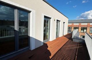 Wohnung mieten in Alte Kaulsdorfer Straße 25A, 12555 Köpenick, Attraktive 2-Zimmer-Wohnung mit lichtdurchfluteten Räumen, großzügiger 180°-Terrasse