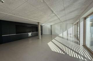 Lofts mieten in 72555 Metzingen, Loftwohnung mit Südterrasse - hochwertig ausgestattet