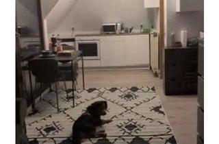 Wohnung mieten in Nelkenweg, 26160 Bad Zwischenahn, Balkon, Wohlfühlen, neue EBK: Ruhig, zentral, 2-Zimmer-DG Apartment mit Keller, Stellplatz