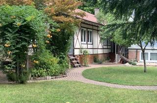 Wohnung mieten in 67346 Speyer, Großzügige 4,5 Zimmerwohnung Speyer Zentrum