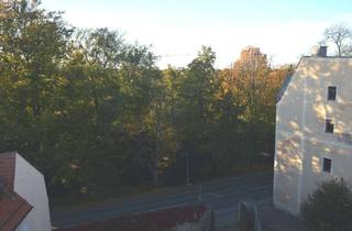 Wohnung mieten in Petersstr. 42, 09599 Freiberg, Altstadt Dachgeschoss mit Blick in den Park