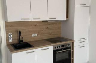 Wohnung mieten in 85049 Friedrichshofen, Neubau (2024 KfW 40) 1 Zi. / Studio, ruhige & zentrale Lage in Friedrichshofen Mittlere Heide