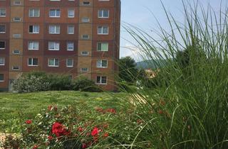 Wohnung mieten in Buchbergstraße 24, 02785 Olbersdorf, Parnorama vor dem Balkon