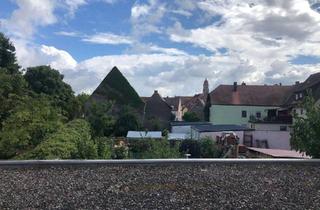 Wohnung mieten in 90579 Langenzenn, Geräumige 4-Zimmer-Wohnung mit großer Terrasse in Langenzenn