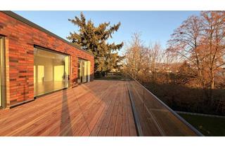 Penthouse mieten in Gifhorner Straße 13, 38442 Fallersleben, Neubau-Erstbezug in Fallersleben, lichtdurchflutetes Penthouse, Stilvolles Wohnerlebnis in Traumlage