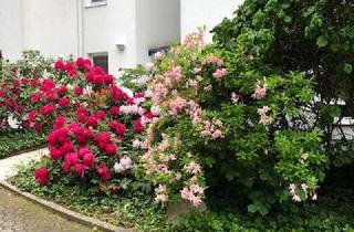 Wohnung mieten in Crimmitschauer Str. 131 f, 08058 Weißenborn, Wohnpark "Am Weißenborner Bach":3-Zimmer-Wohnung mit Terrasse