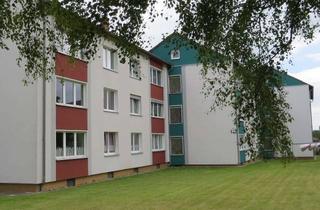Wohnung mieten in Am Ammerbeek 23, 38319 Remlingen, Schöne 3- Zimmerwohnung im Erdgeschoss in Remlingen Wf