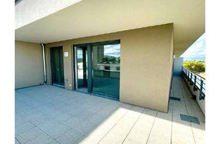 Penthouse mieten in 68309 Vogelstang, Neuerbaute 2 Zimmer Penthouse Wohnung mit toller Terrasse