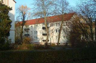 Wohnung mieten in Lindenplatz, 03246 Crinitz, Kurzexposé 1303/15