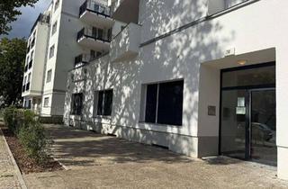 Wohnung mieten in Ringstraße 70, 12105 Tempelhof, Schöne 2-Raum-Wohnung in Mariendorf