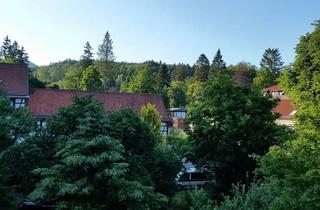 Wohnung mieten in Bismarckstraße 13, 37441 Bad Sachsa, Ansprechende und gepflegte 2,5-Zimmer-Dachgeschosswohnung mit Balkon in Bad Sachsa