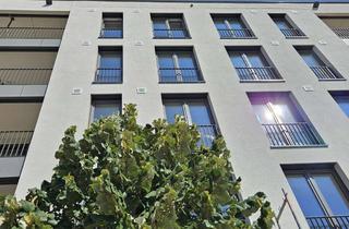 Wohnung mieten in Galileistraße, 68155 Bahnstadt, Charmante 3-Zimmer mit Wohnberechtigungsschein-Neubauwohnung mit durchdachtem Grundriss