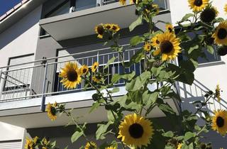Lofts mieten in Rotterstraße, 86911 Dießen, Modern & stylisch: Loft mit viel Licht im Zentrum von Dießen