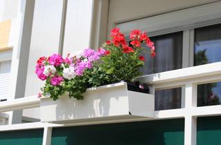 Wohnung mieten in Pestalozzistraße 20, 02906 Niesky, WOBAG "Alles, außer gewöhnlich!" - kleine 1-Raumwohnung mit großem Balkon sucht Nachmieter