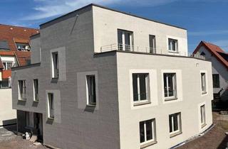 Wohnung mieten in 68799 Reilingen, OHH Whg. Nr. 21