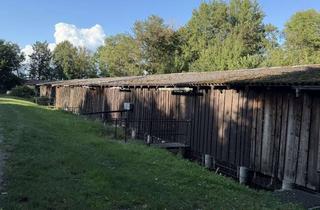 Immobilie kaufen in Kaasboomhorst, 17207 Ludorf, EINZIGARTIG - BOOTSANLEGER an der MÜRITZ