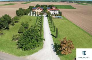 Gewerbeimmobilie kaufen in 55239 Gau-Odernheim, Ein Stück Toscana mitten in Rheinhessen - Ihr Wohnparadies mit Eventlocation und Gästehaus