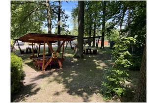 Gewerbeimmobilie mieten in Mittelweg, 04774 Dahlen, Sofort Nutzbar - Café zur Pacht mitten in der malerischen Dahlener Heide Ochsensaal
