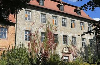 Gewerbeimmobilie kaufen in 04552 Borna, Schloss Zedtlitz - Wellness Hotel & Restaurant meets History - Sanierungsobjekt